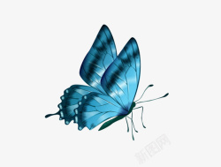 蓝色卡通手绘小蝴蝶素材