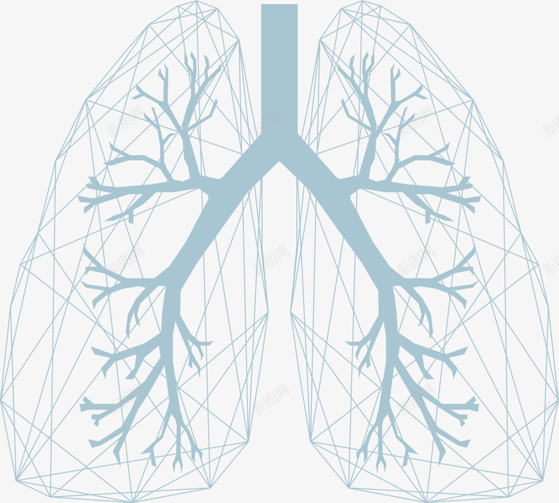 肺C医疗保健png免抠素材_新图网 https://ixintu.com 医疗保健