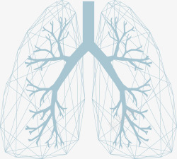 肺C医疗保健素材