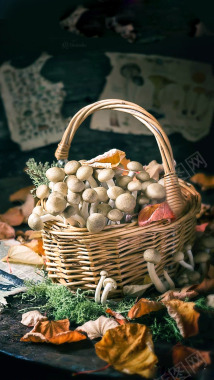 蘑菇水果蔬菜摄影图片
