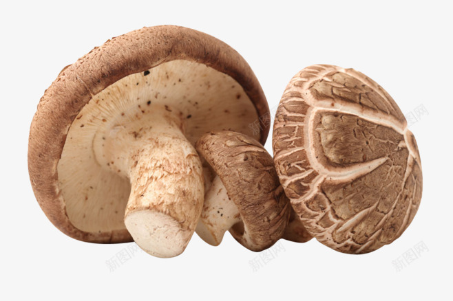 蘑菇食物png免抠素材_新图网 https://ixintu.com 蘑菇 食物