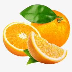 橙子食物素材