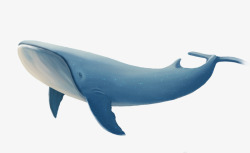 蓝鲸动物素材