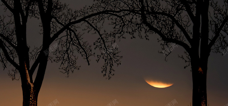 秋季夜幕天空背景jpg设计背景_新图网 https://ixintu.com 秋季 夜幕 天空 树 月亮 海报banner 摄影 风景