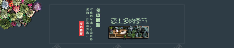 墨绿色多肉植物bannerpsd设计背景_新图网 https://ixintu.com 墨绿色 小清新 多肉 几何 线条 绿植 海报banner 文艺 简约