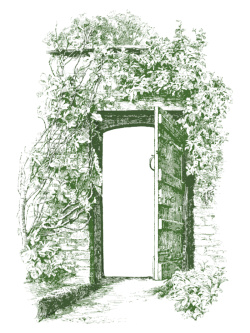 素描线条墨绿色手绘缠着藤曼的门扉背景图高清图片