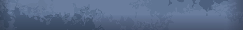 万圣节手绘创意海报设计jpg设计背景_新图网 https://ixintu.com 万圣节 创意 海报 蝙蝠 猫 黑夜 月亮 暗黑 卡通 童趣 手绘