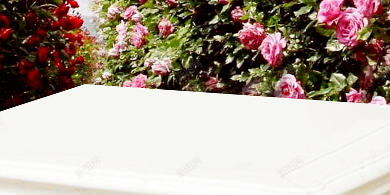 花朵平面设计海报psd设计背景_新图网 https://ixintu.com 平台 横幅 背景 花丛 框 花 玫瑰 树 粉色 红色 台 介绍 可爱