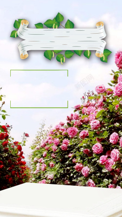平台介绍花朵平面设计海报高清图片