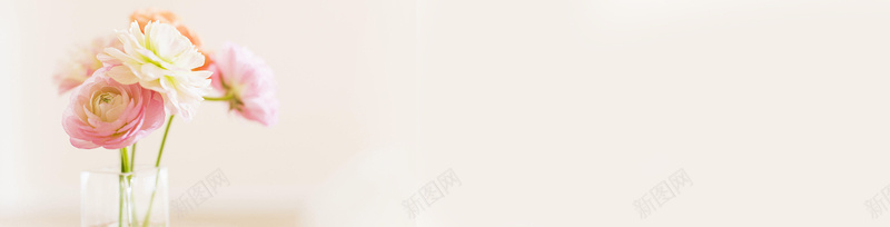 室内玫瑰花banner创意设计jpg设计背景_新图网 https://ixintu.com 纯色 风景 色彩 小清新 环保 海报banner 其他