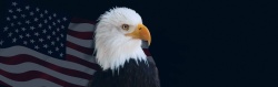 美国标符美国和鹰高清图片