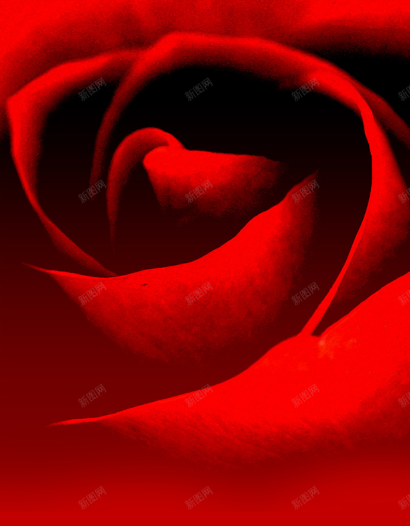 红色大朵玫瑰花H5背景jpg设计背景_新图网 https://ixintu.com 玫瑰花 红玫瑰 女性 红色 花卉 H5背景 高贵 美妆 彩妆