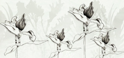 素描线条黑白手绘素描花卉简约背景高清图片