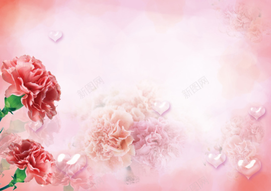 粉红康乃馨母亲节背景素材背景