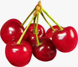 红色樱桃水果png素材素材