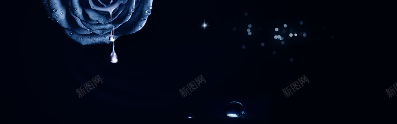 玫瑰水滴童话背景jpg设计背景_新图网 https://ixintu.com 全屏海报背景 轮播图背景 横幅背景 水滴 童话 海报banner