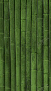 绿色小清新竹背景背景