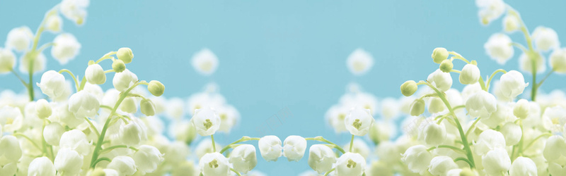 茉莉香背景jpg设计背景_新图网 https://ixintu.com 横幅背景 花朵 白色 海报banner 浪漫 全屏banner背景 梦幻
