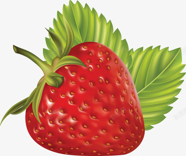 立体草莓水果图片png免抠素材_新图网 https://ixintu.com 草莓 水果 一颗草莓 食物