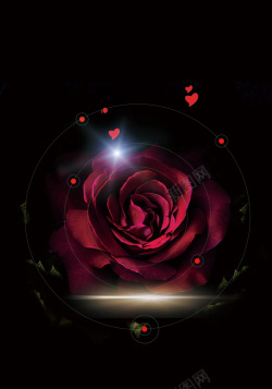 悲伤梦幻玫瑰花黑色背景高清图片