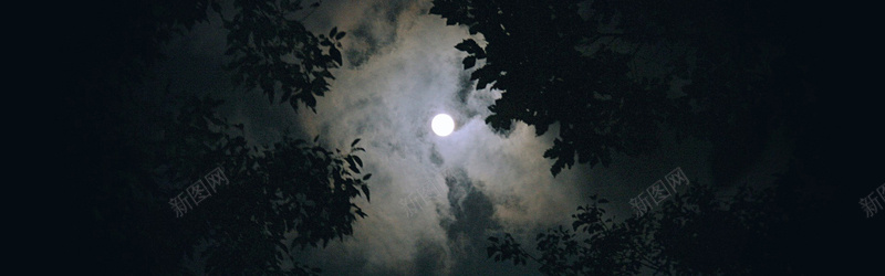 夜晚的天空背景jpg设计背景_新图网 https://ixintu.com 月亮 云 夜景 晚上 天空 叶子 摄影 海报banner 风景