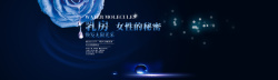 蓝色光斑和水珠图片蓝色玫瑰花背景高清图片