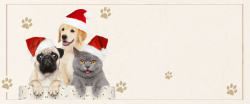 猫粮促销宠物简约粉色banner高清图片