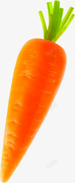 高清胡萝卜高清胡萝卜图片png高清图片