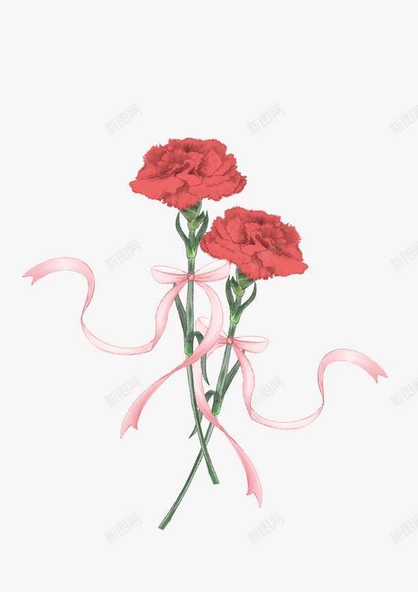 母亲节康乃馨花朵插画png免抠素材_新图网 https://ixintu.com 母亲节 康乃馨 花朵 插画
