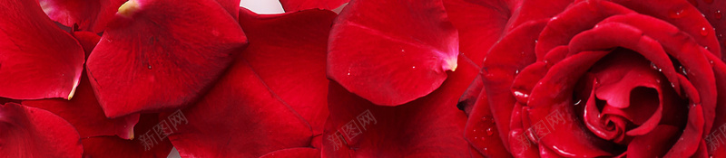 红色玫瑰花框jpg设计背景_新图网 https://ixintu.com PPT 玫瑰 玫瑰花线框 红色 花框