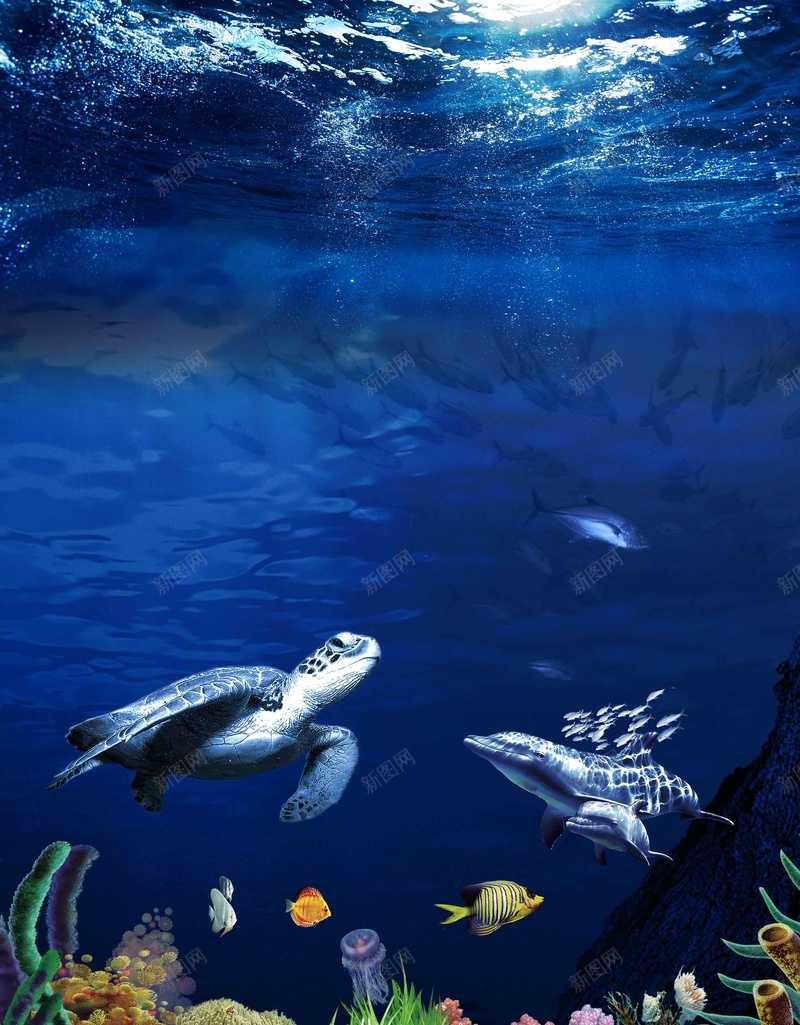 海洋馆游玩背景素材psd设计背景_新图网 https://ixintu.com 动物 海报 海洋 海龟 蓝色 背景 矢量 大气