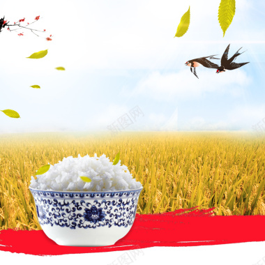 粮食大米食品PSD分层主图背景素材背景