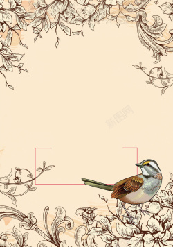 初级棕色手绘插画线条春季新品海报背景素材高清图片