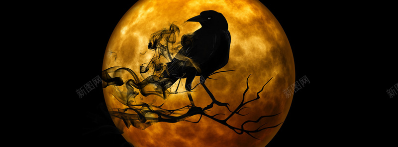 黑色月亮乌鸦背景背景