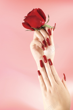 粉色底纹玫瑰花美甲海报背景素材背景