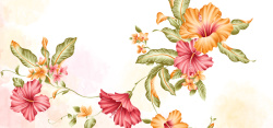 狂欢节花纹花纹背景高清图片