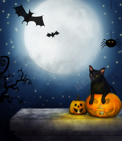 月色下的美女月色下的黑猫万圣节海报背景psd高清图片