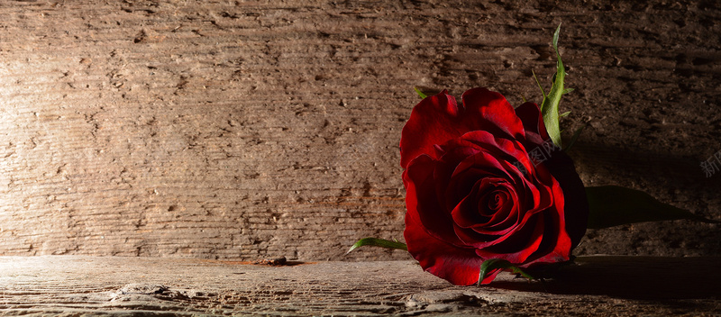 木板背景上的玫瑰花背景