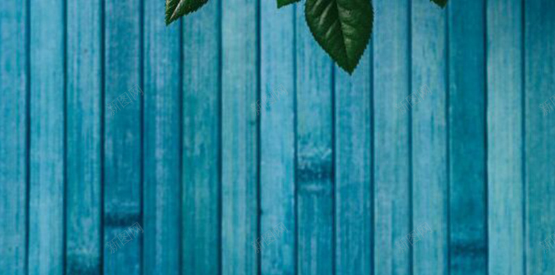 木板上的玫瑰花H5背景jpg设计背景_新图网 https://ixintu.com 红色的花 玫瑰花 木板 背景 花朵 蓝色的背景 开心 文艺 小清新 简约