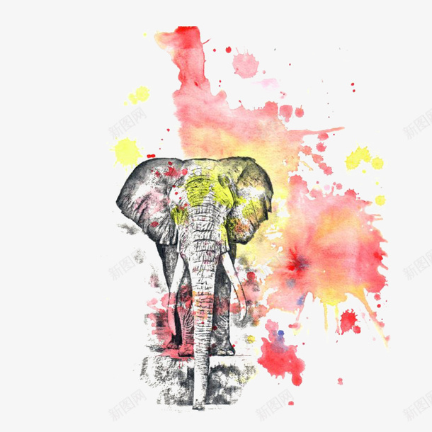 彩色的水墨大象效果图png免抠素材_新图网 https://ixintu.com 彩色大象 水彩大象 手绘大象 动物 大象 装饰图 免抠图 装饰画 效果图