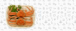 白色螃蟹螃蟹手绘白色banner高清图片