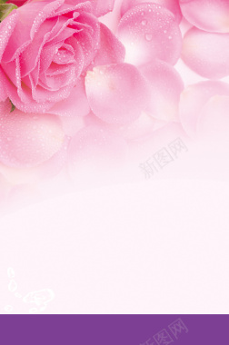 浪漫玫瑰花美容化妆展板背景背景
