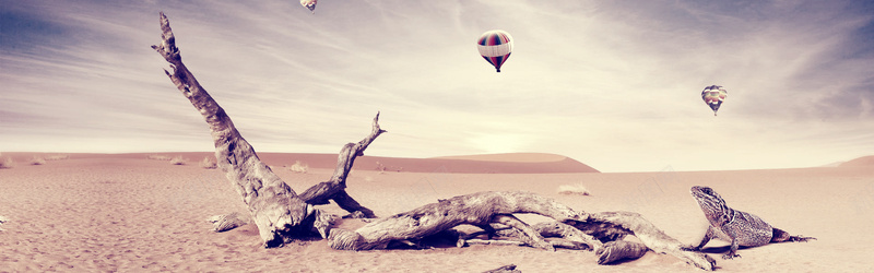 沙漠旅行背景jpg设计背景_新图网 https://ixintu.com 横幅背景 沙漠 枯木 热气球 海报banner 全屏banner背景 摄影 风景