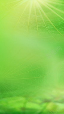 绿色树叶发光H5背景素材背景