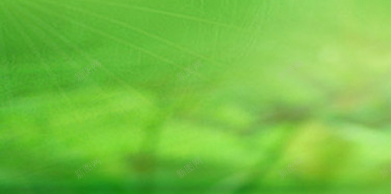 绿色树叶发光H5背景素材jpg设计背景_新图网 https://ixintu.com 小清新 发光 树叶 简约 绿色 文艺