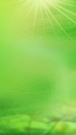 发光树叶绿色树叶发光H5背景素材高清图片