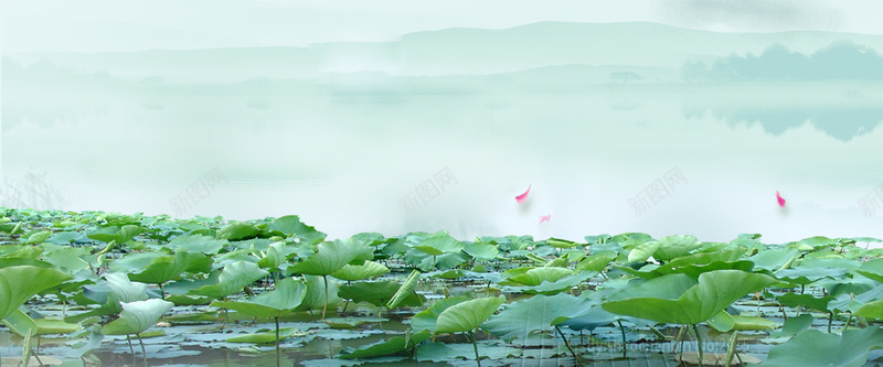 化妆品清新背景jpg设计背景_新图网 https://ixintu.com 水池 清新 绿叶 荷花 莲花 莲蓬 文艺 小清新 简约