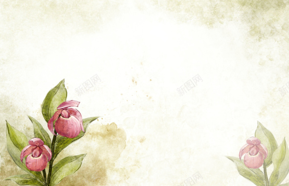 手绘花卉背景海报素材背景