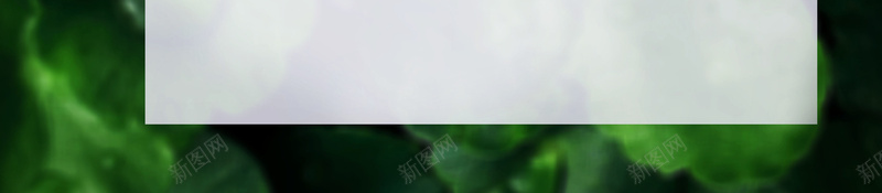 植物背景二十四节气之白露海报jpg设计背景_新图网 https://ixintu.com 二十四节气 传统文化 传统节气 植物叶子 秋季 绿色 白露 简约
