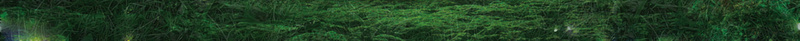 绿色梦幻迎宾牌背景素材psd设计背景_新图网 https://ixintu.com 绿色 梦幻 森系 卡通 森林 迎宾牌图片下载 小鹿 蘑菇 卡通蝴蝶 绿叶 藤蔓 梅花鹿